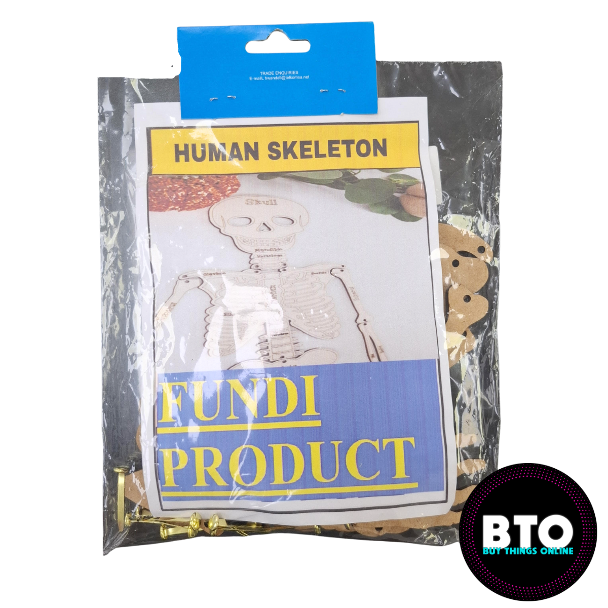 School Project Kit Skeleton